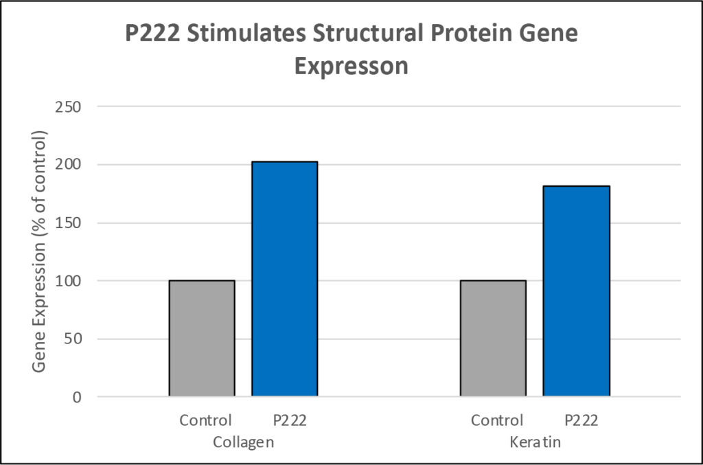 P222 Peptide Chart