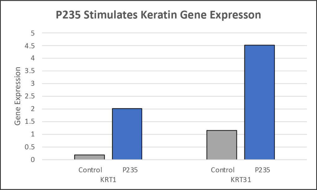 P235 Peptide Chart