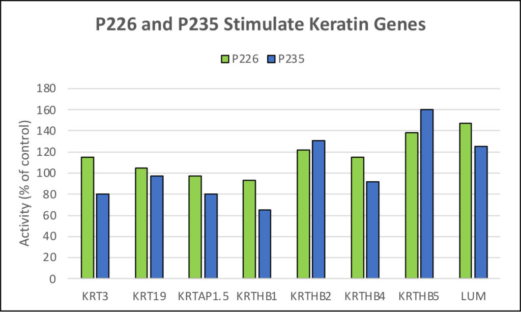 P226 peptide chart